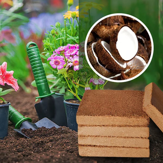 Fibra de Coco Orgánica para Plantas (Recolectada de países insulares del Pacífico)